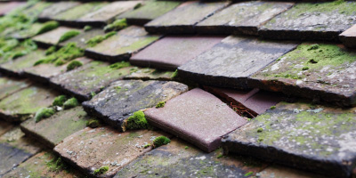 Great Waltham roof repair costs